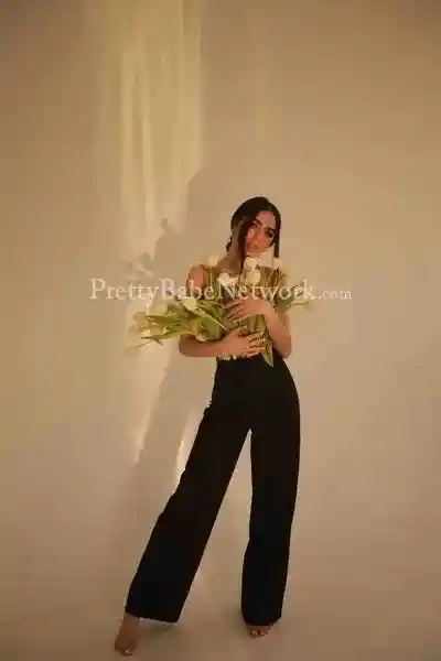 Hire Brunette Escort Rina to Indulge in Extraordinary Erotic Activities